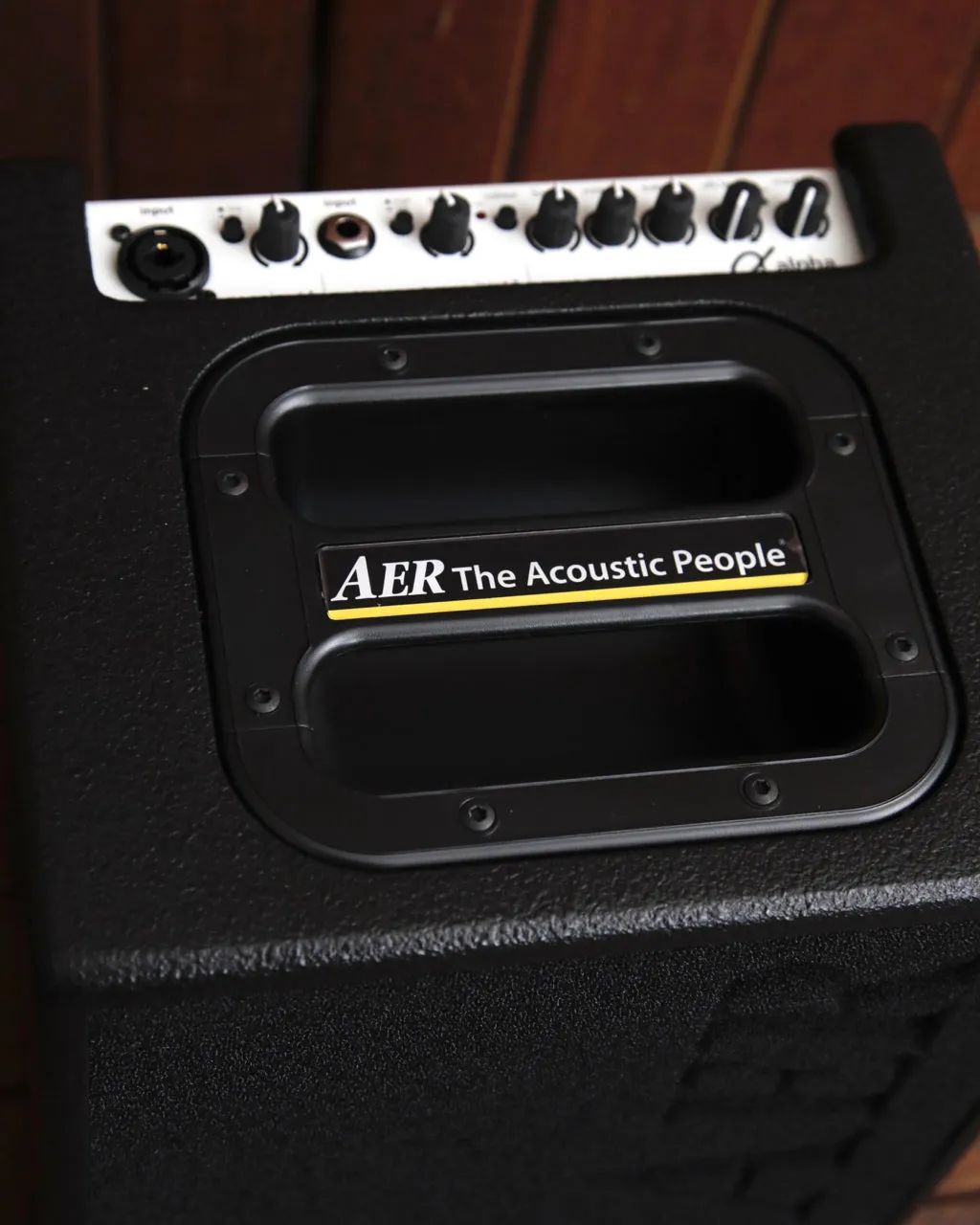 AER Alpha 40 Watt Acoustic Guitar Amplifier