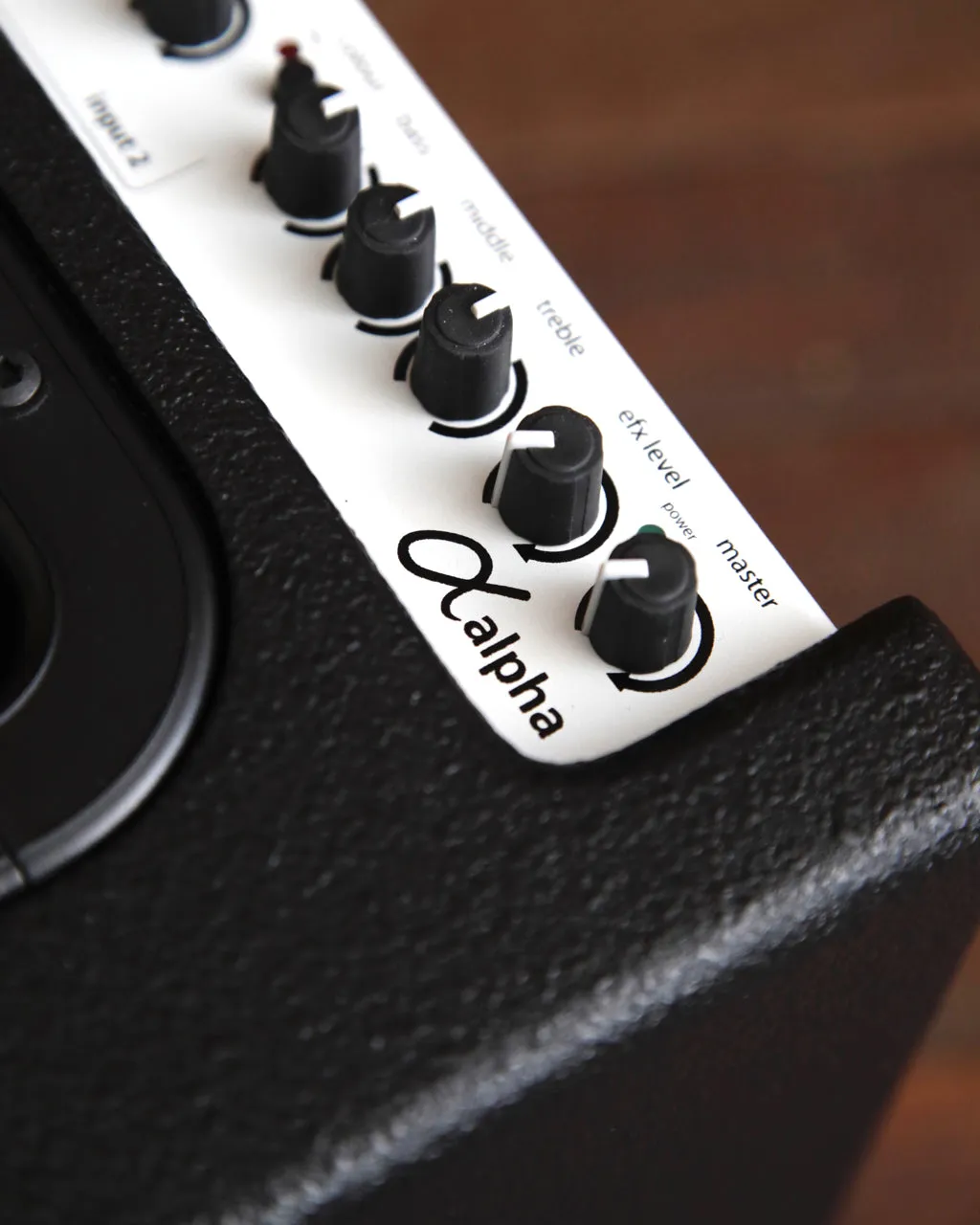AER Alpha 40 Watt Acoustic Guitar Amplifier