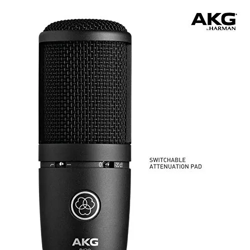 AKG P120 High-Performance General Purpose Recording Microphone