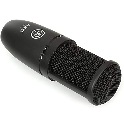 AKG P120 High-Performance General Purpose Recording Microphone