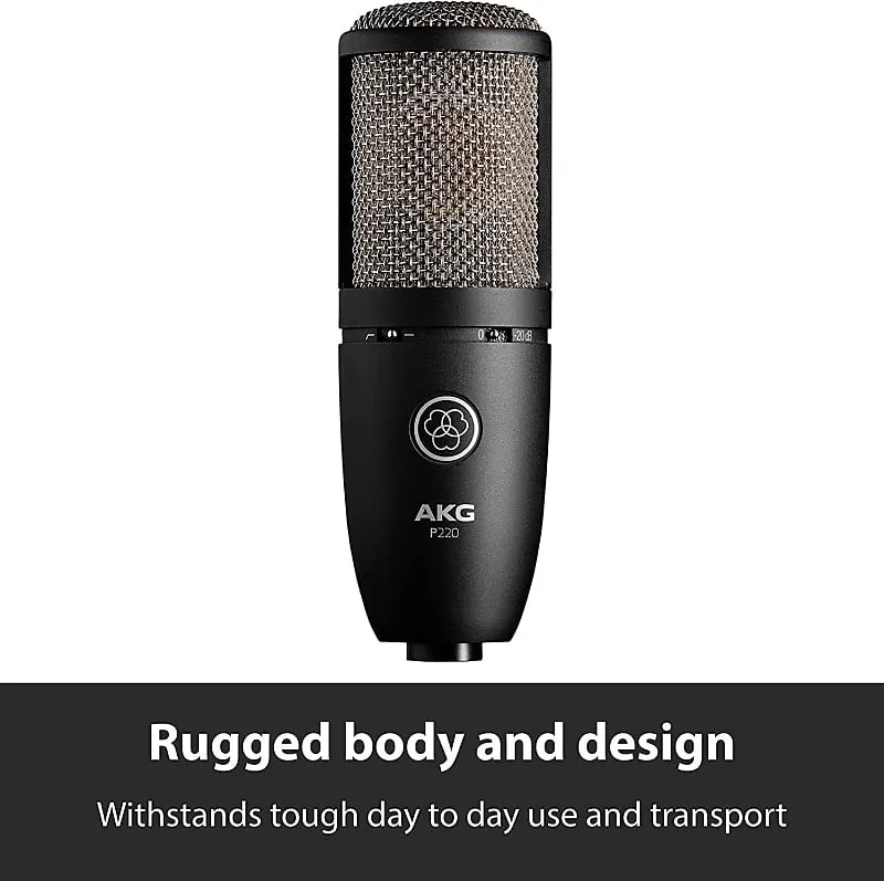 AKG Pro Audio P220 Vocal Condenser Microphone,