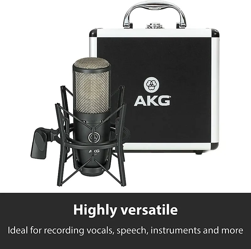 AKG Pro Audio P220 Vocal Condenser Microphone,