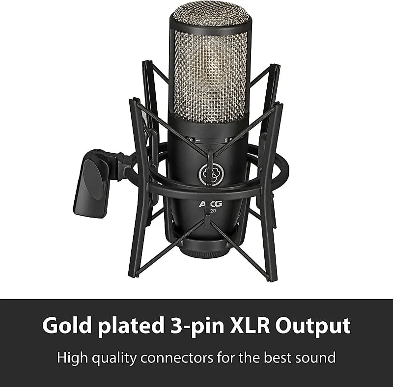 AKG Pro Audio P220 Vocal Condenser Microphone,