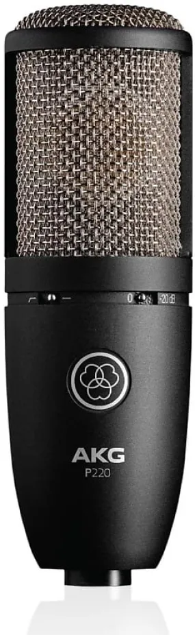 AKG Pro Audio P220 Vocal Condenser Microphone,