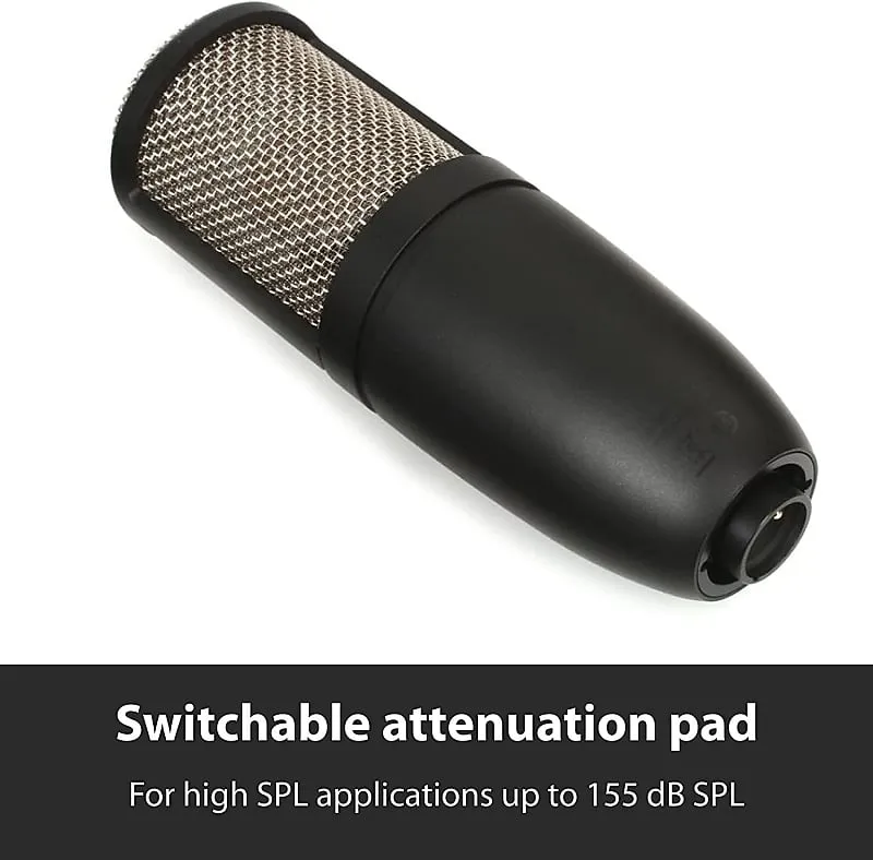 AKG Pro Audio P220 Vocal Condenser Microphone,