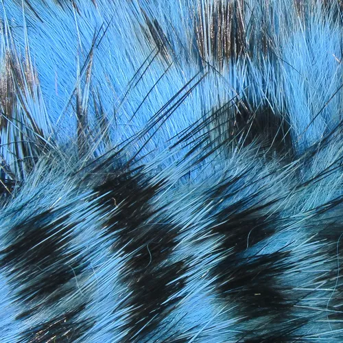 Black Barred Rabbit Strips,