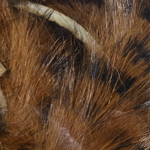 Black Barred Rabbit Strips,