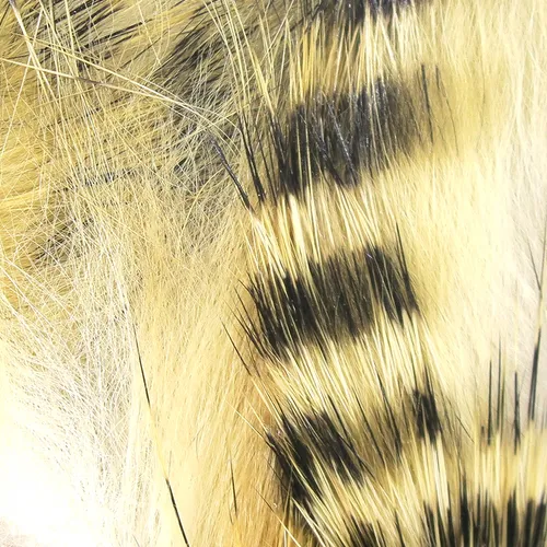 Black Barred Rabbit Strips,