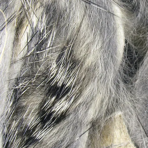 Black Barred Rabbit Strips,