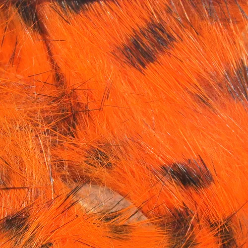 Black Barred Rabbit Strips,