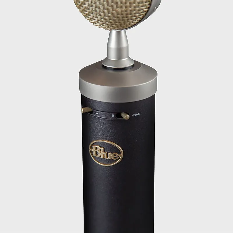 Blue Baby Bottle SL Large Diaphragm Cardioid Condenser Microphone