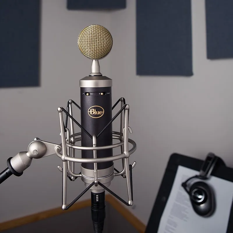 Blue Baby Bottle SL Large Diaphragm Cardioid Condenser Microphone
