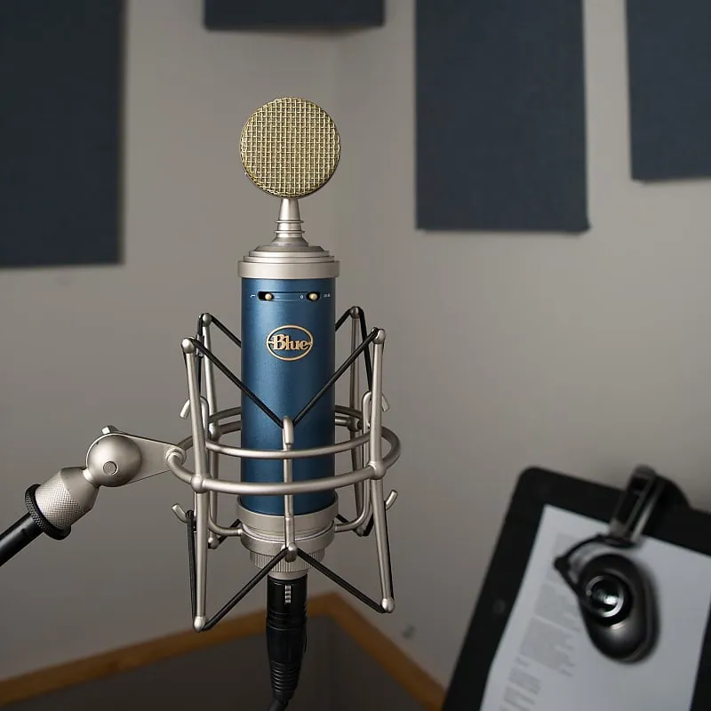 Blue Bluebird SL Large Diaphragm Cardioid Condenser Microphone