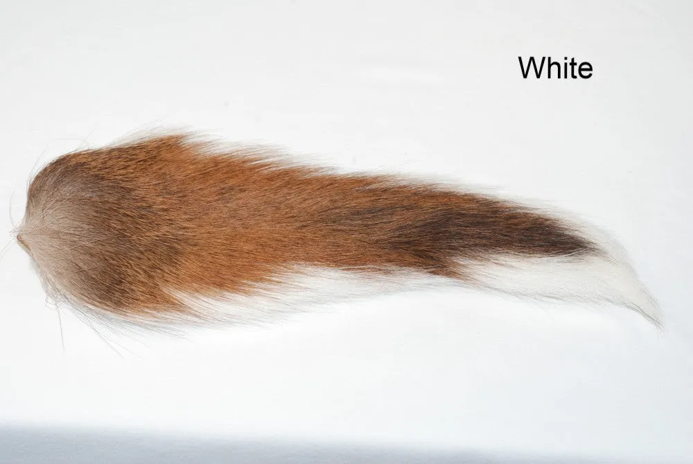 Buck Tail (Whole)