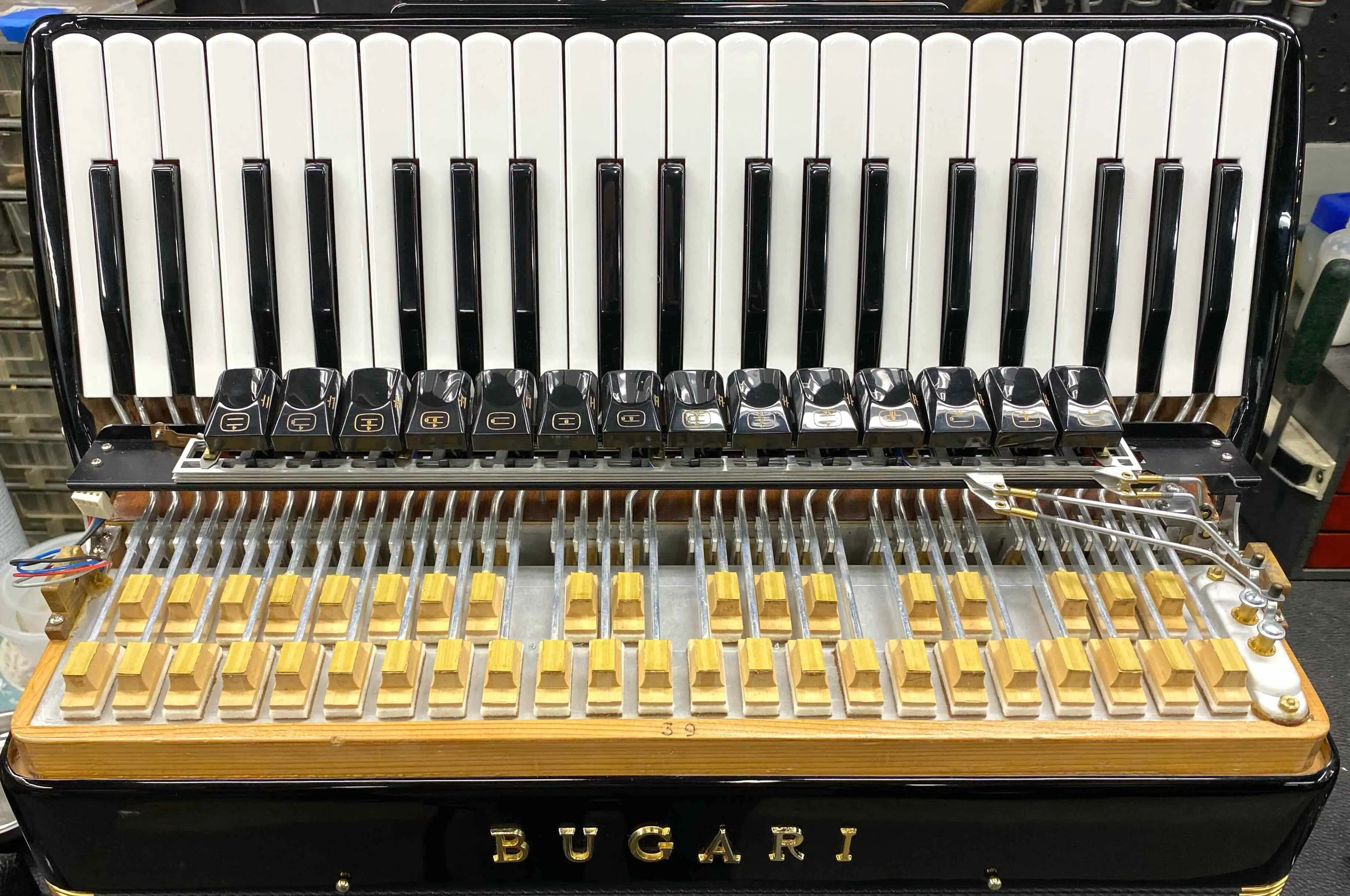 Bugari 288 Gold (19 1/4" LMMH)