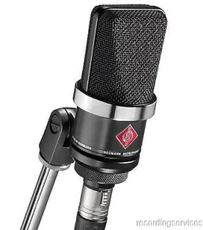Condenser microphone Neumann TLM 102 mt Large Diaphragm Cardioid Condenser Microphone