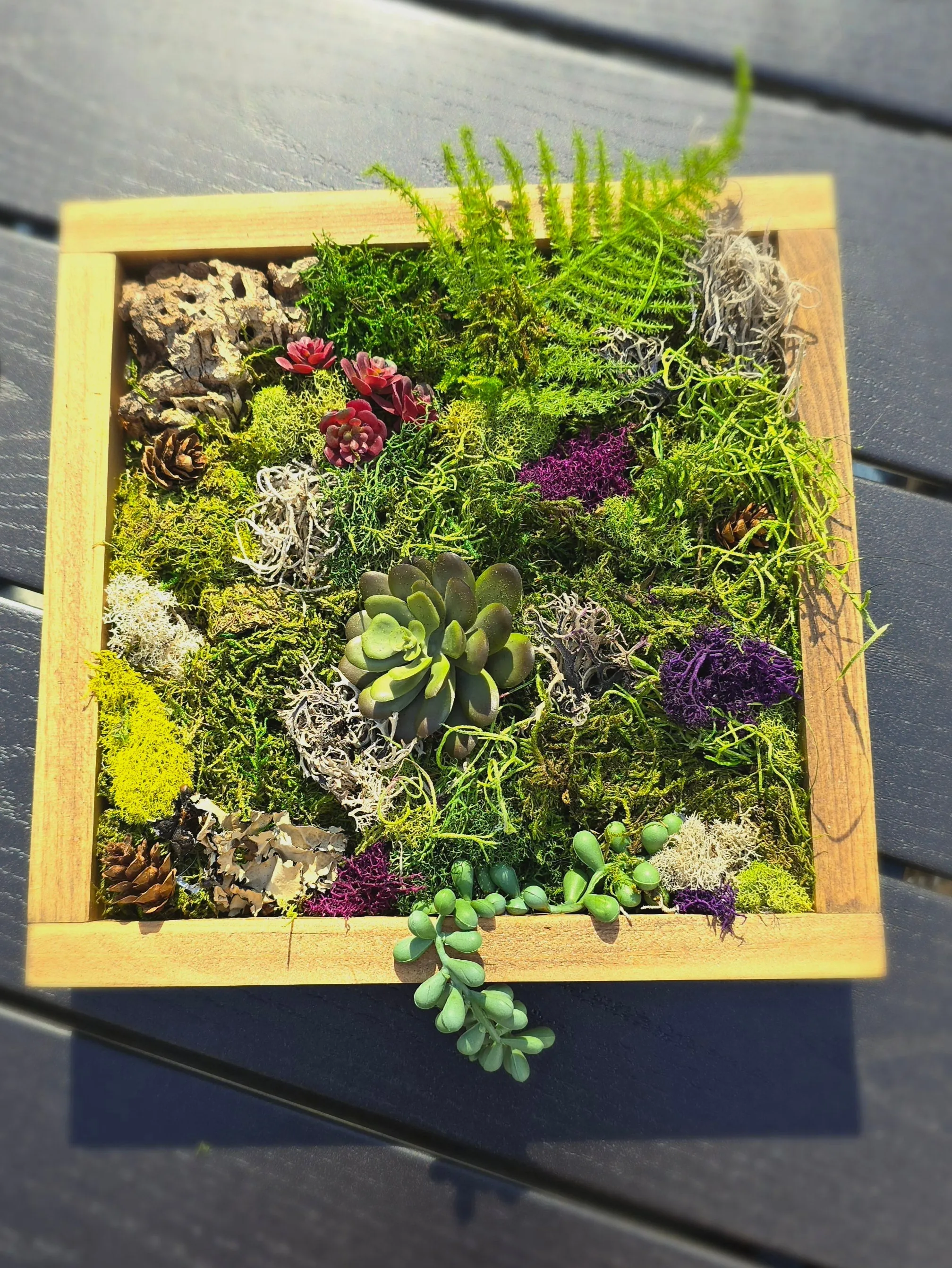 DIY Moss Wall Art Kit