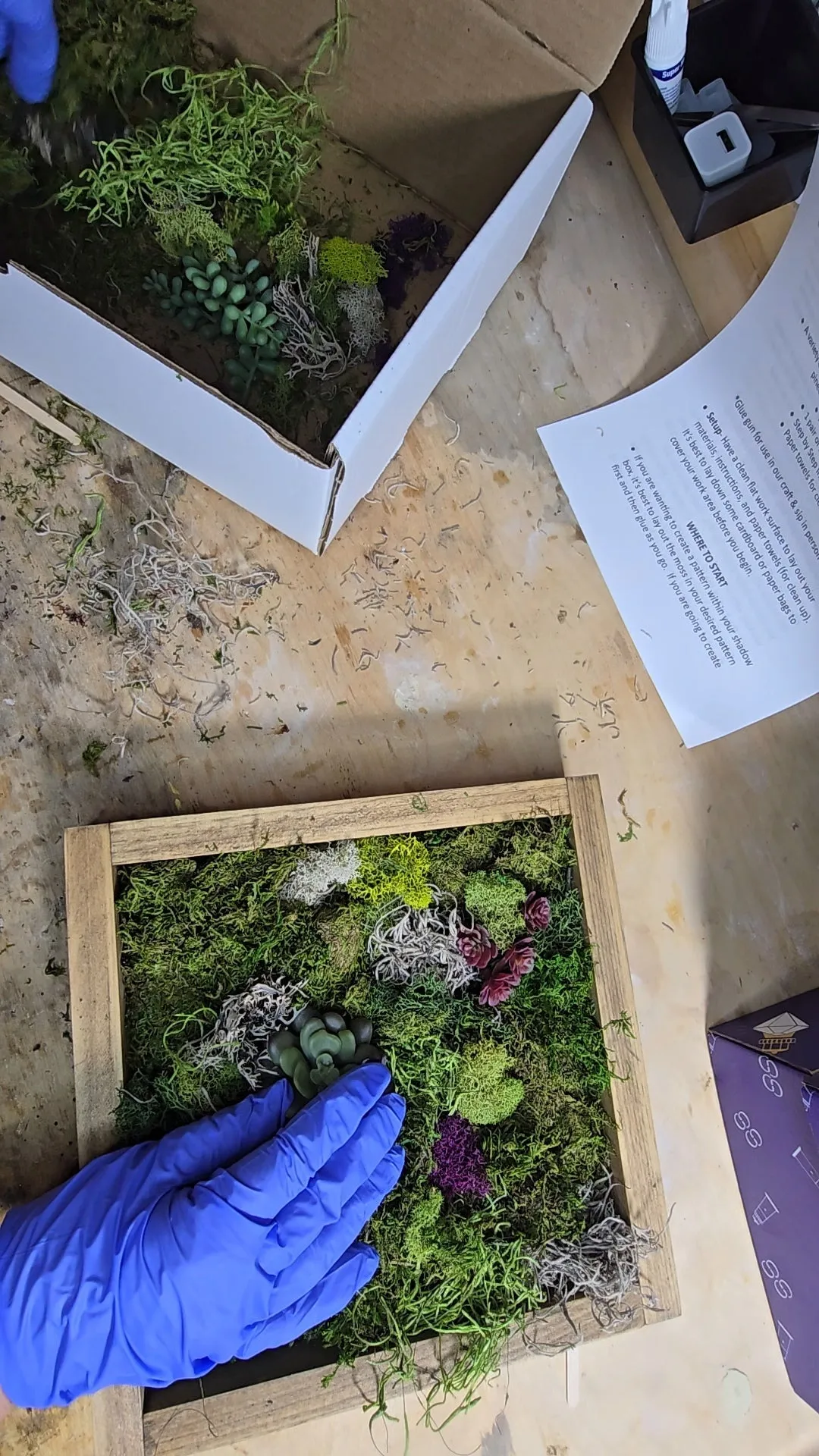 DIY Moss Wall Art Kit