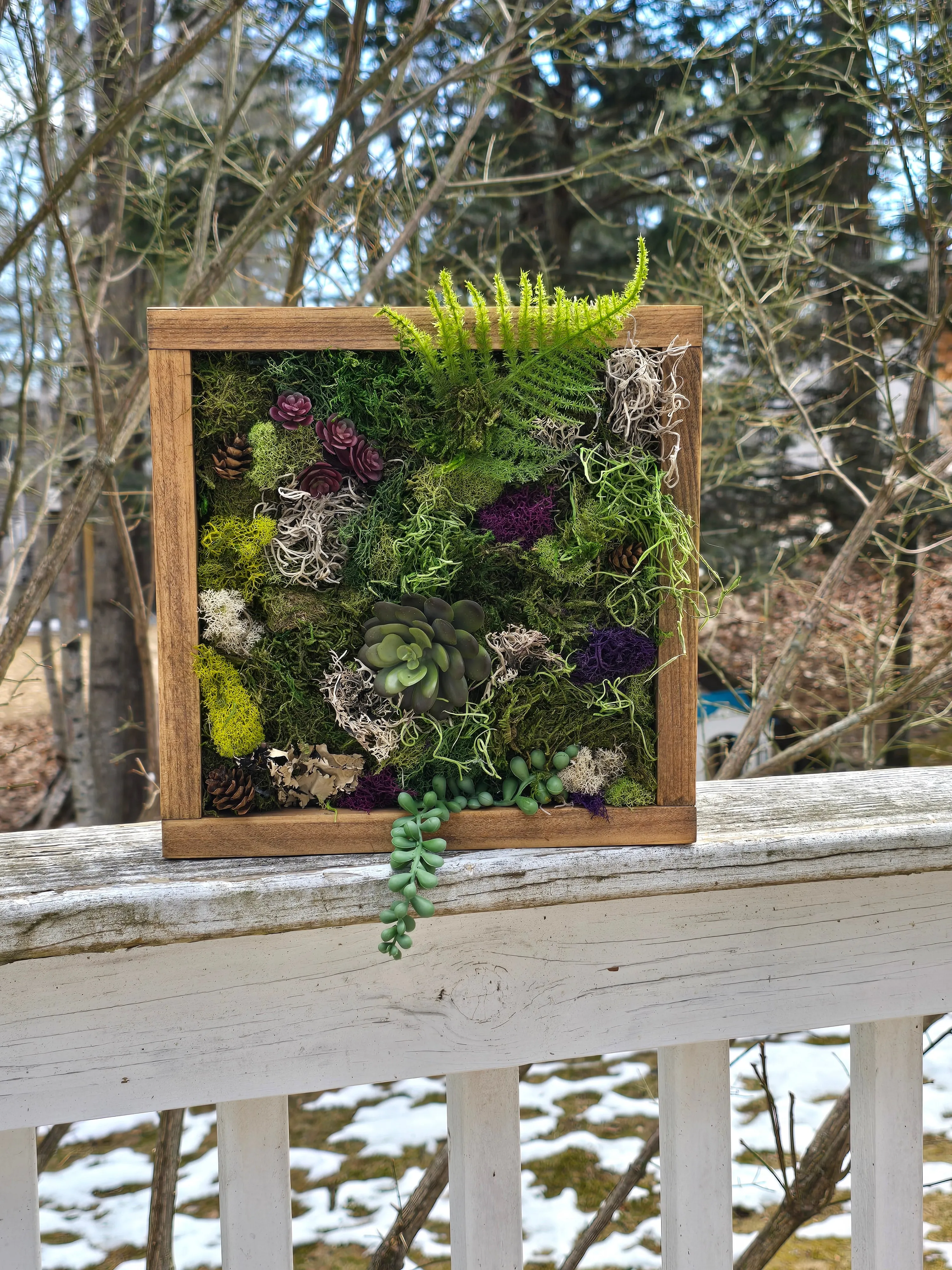 DIY Moss Wall Art Kit