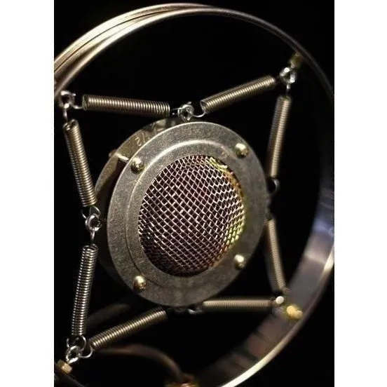 Ear Trumpet Labs Myrtle Condensor Microphone