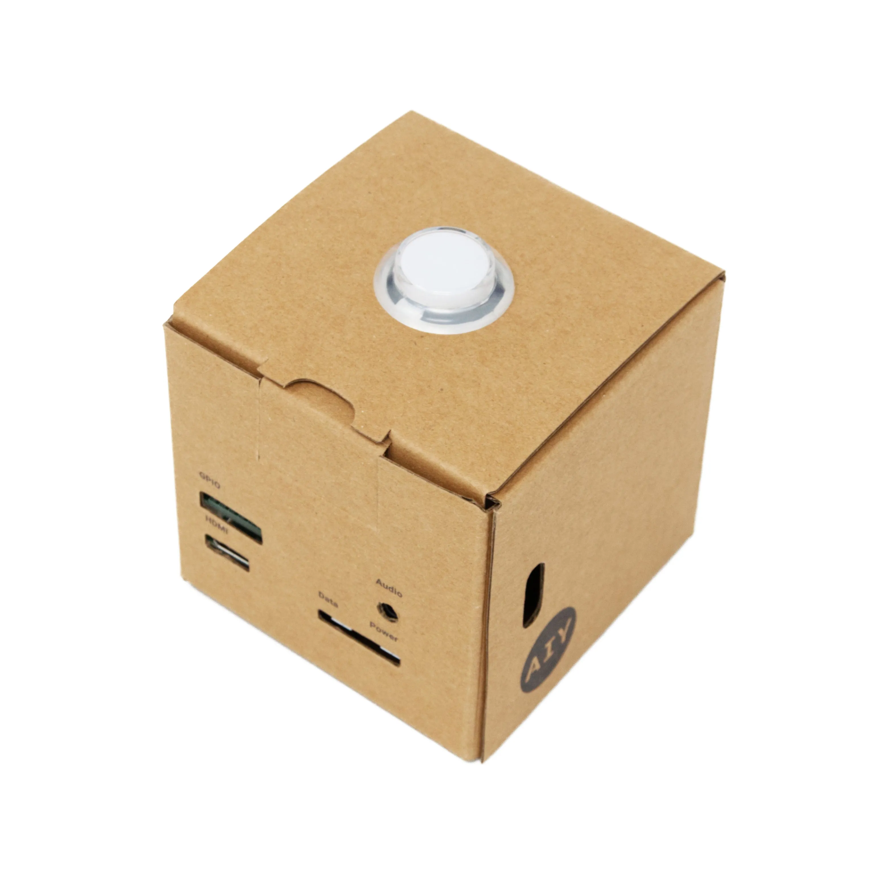 Google AIY Voice Kit v2