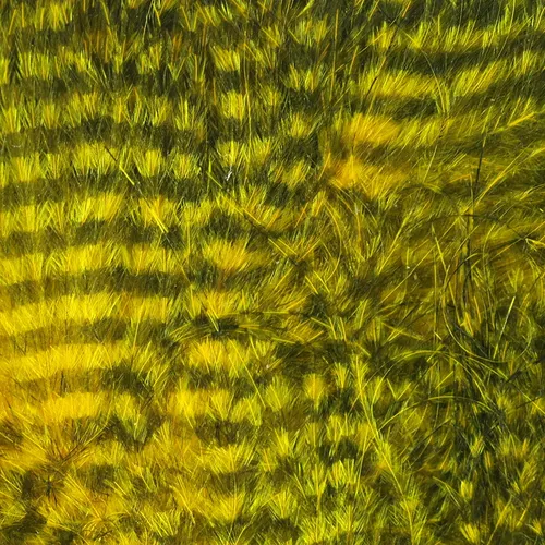 Hareline Fine Black Barred Marabou