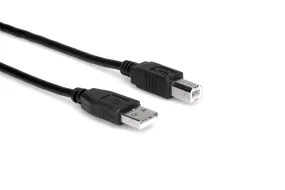 Hosa USB-210AB High Speed USB Cable, Type A to Type B, 10 ft