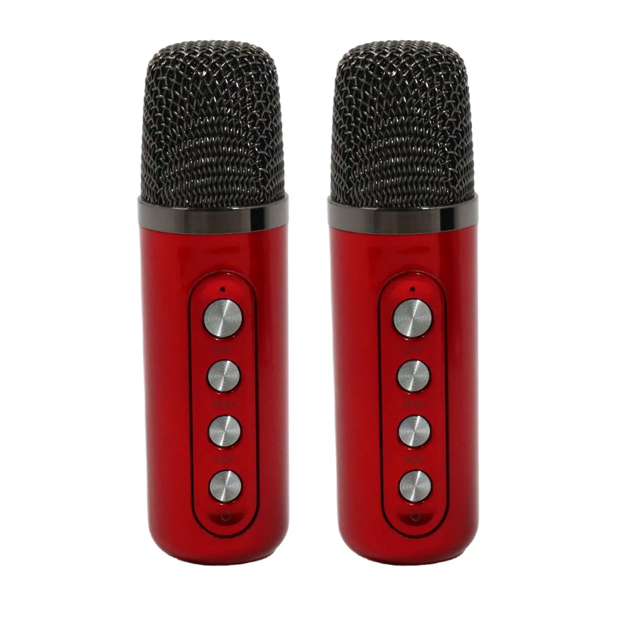 Karaoke Speaker M24