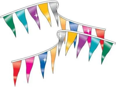Metallic Rainbow Pennants Streamers 60' String