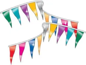 Metallic Rainbow Pennants Streamers 60' String