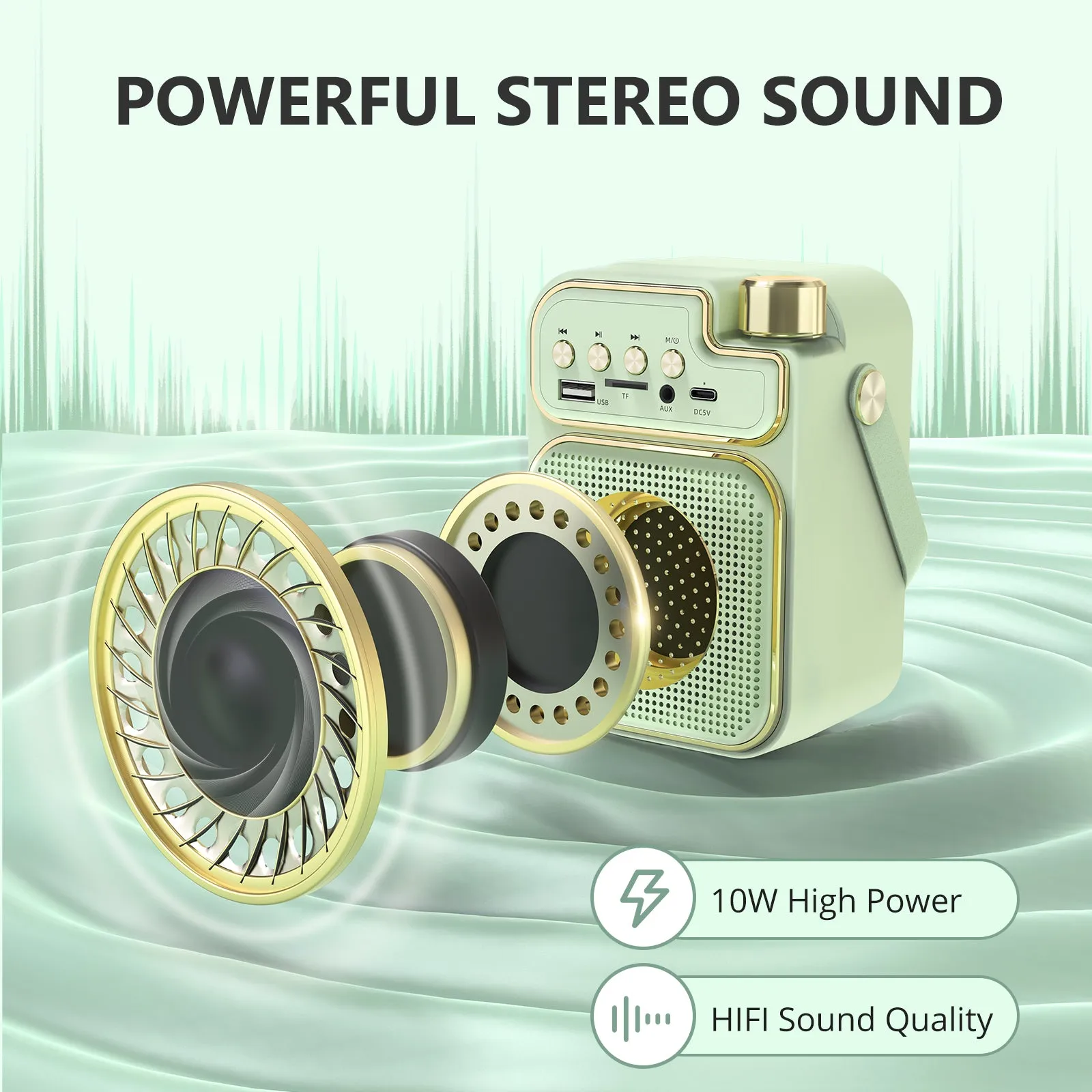 Mini Karaoke Machine for Kids & Adults, Portable Bluetooth Speaker with 2 Wireless Microphones