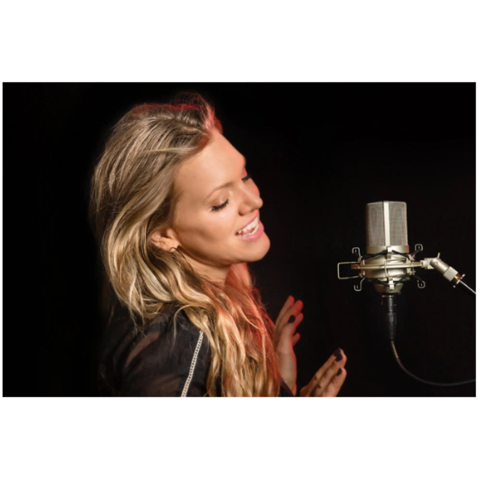 MXL 990 Condenser Microphone