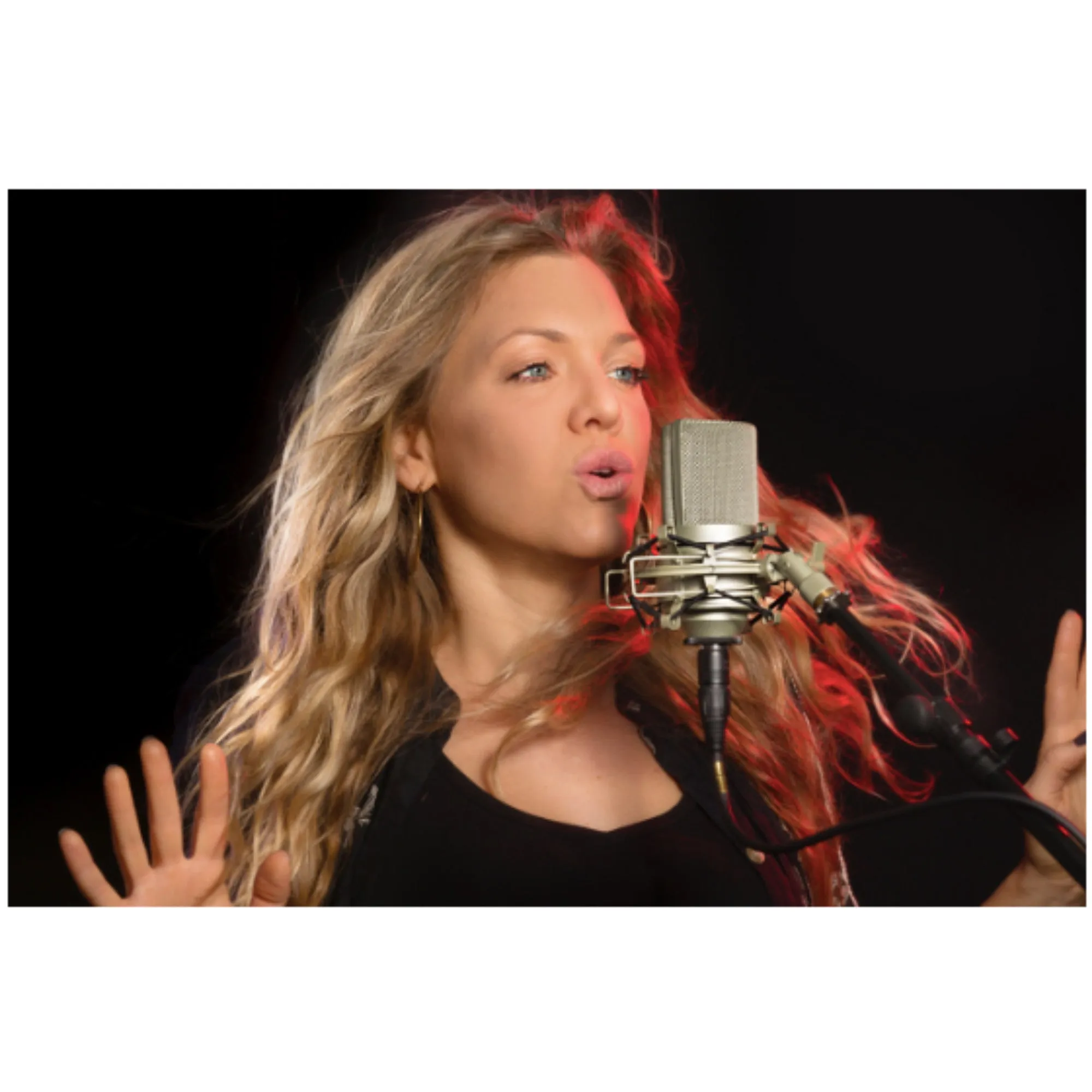MXL 990 Condenser Microphone