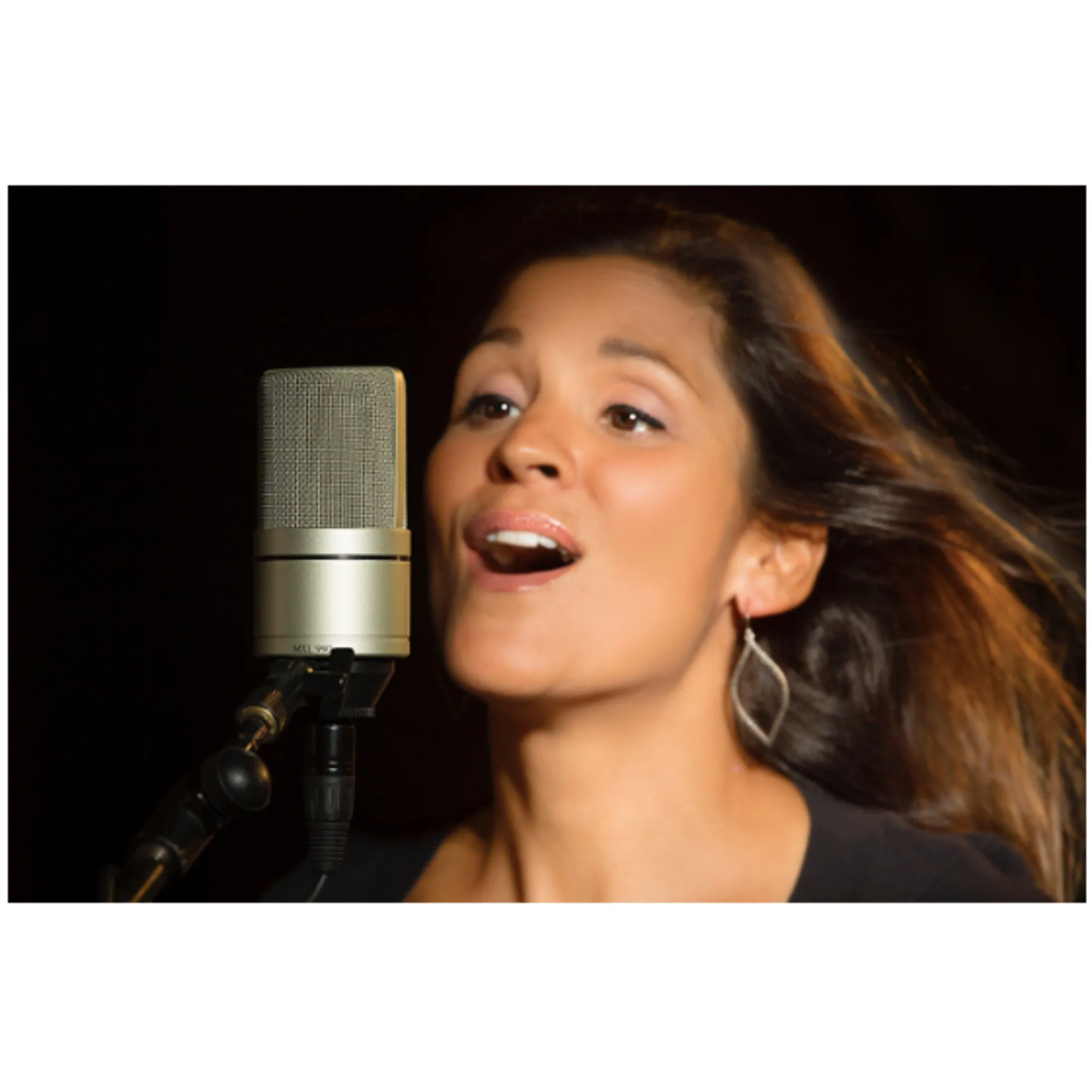 MXL 990 Condenser Microphone
