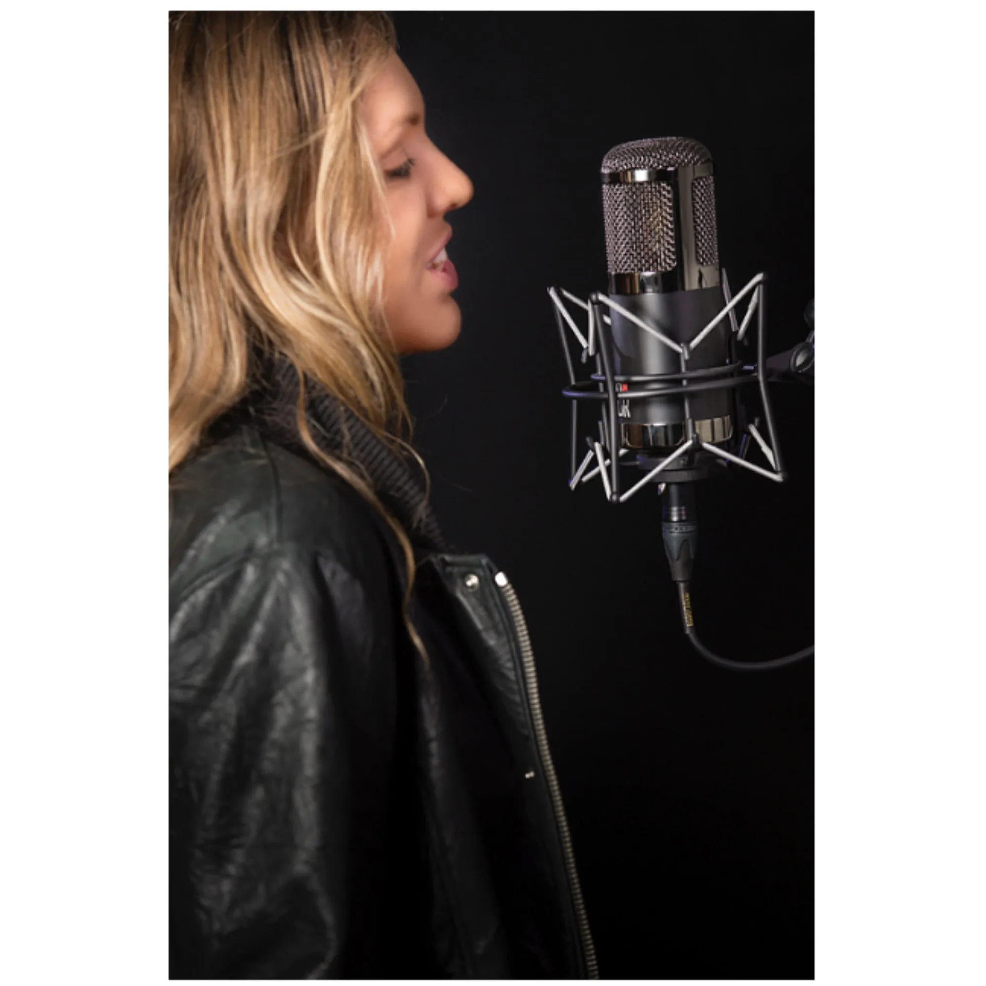 MXL CR89 Low Noise Condenser Microphone