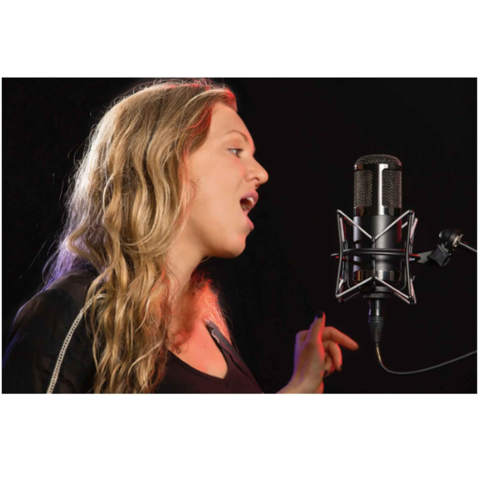 MXL CR89 Low Noise Condenser Microphone