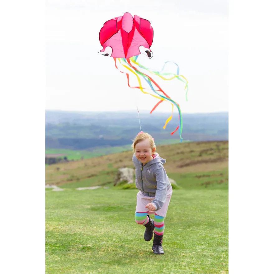 Octopus Kite