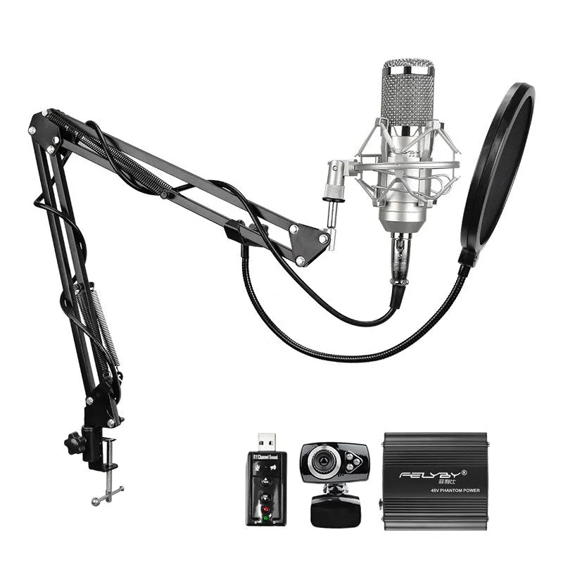 professional audio karaoke microphones BM 800 condenser