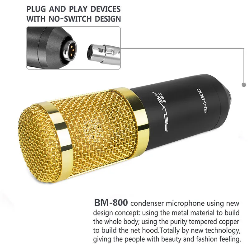 professional audio karaoke microphones BM 800 condenser