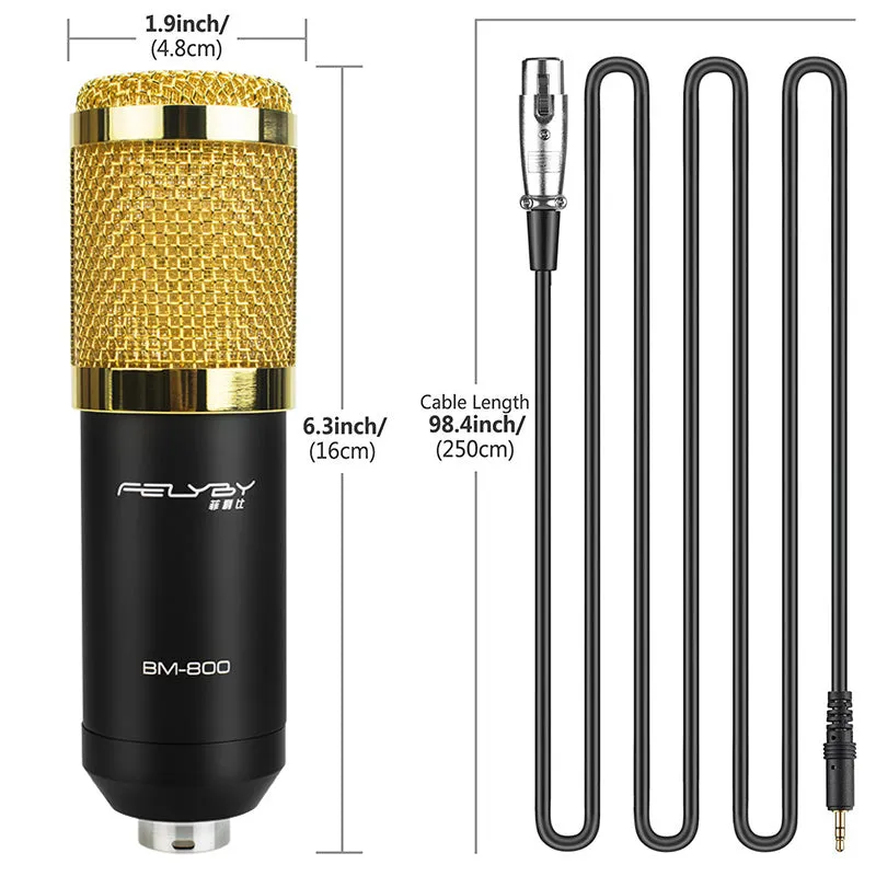 professional audio karaoke microphones BM 800 condenser