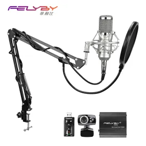 professional audio karaoke microphones BM 800 condenser