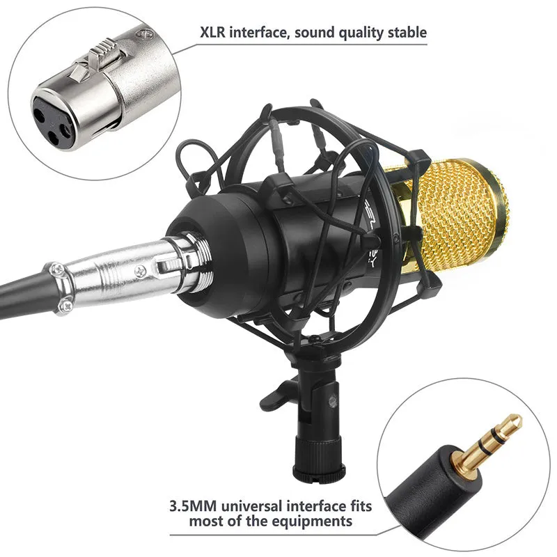 professional audio karaoke microphones BM 800 condenser