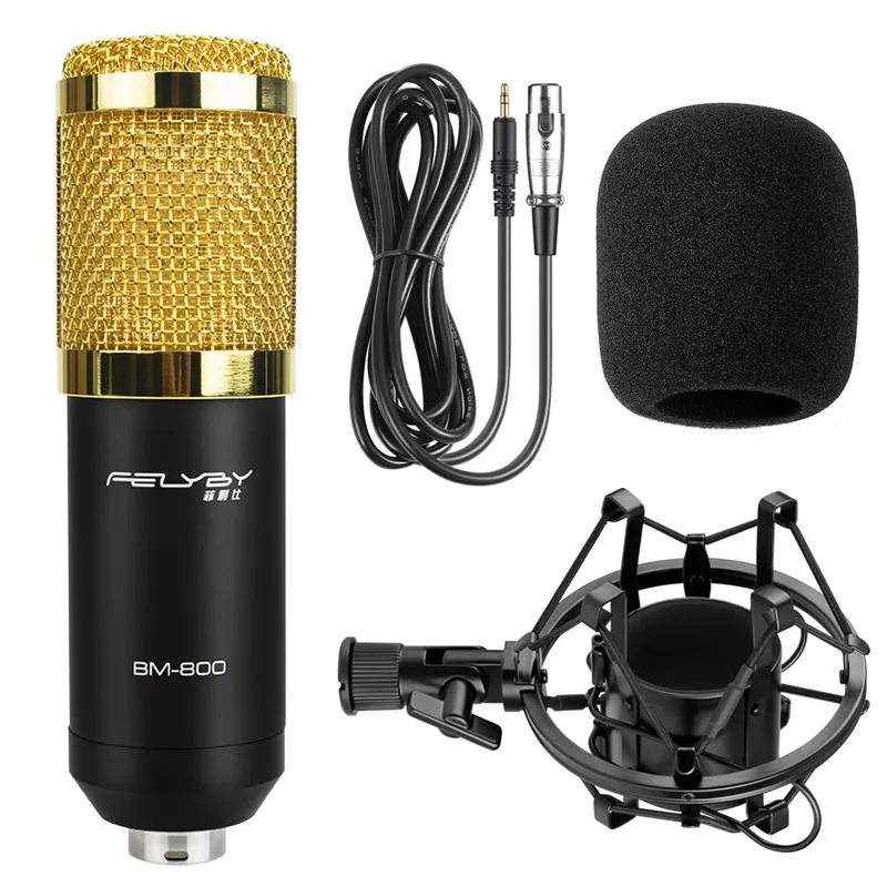 professional audio karaoke microphones BM 800 condenser