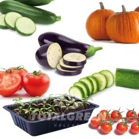 Seed Starter Kits Veggies