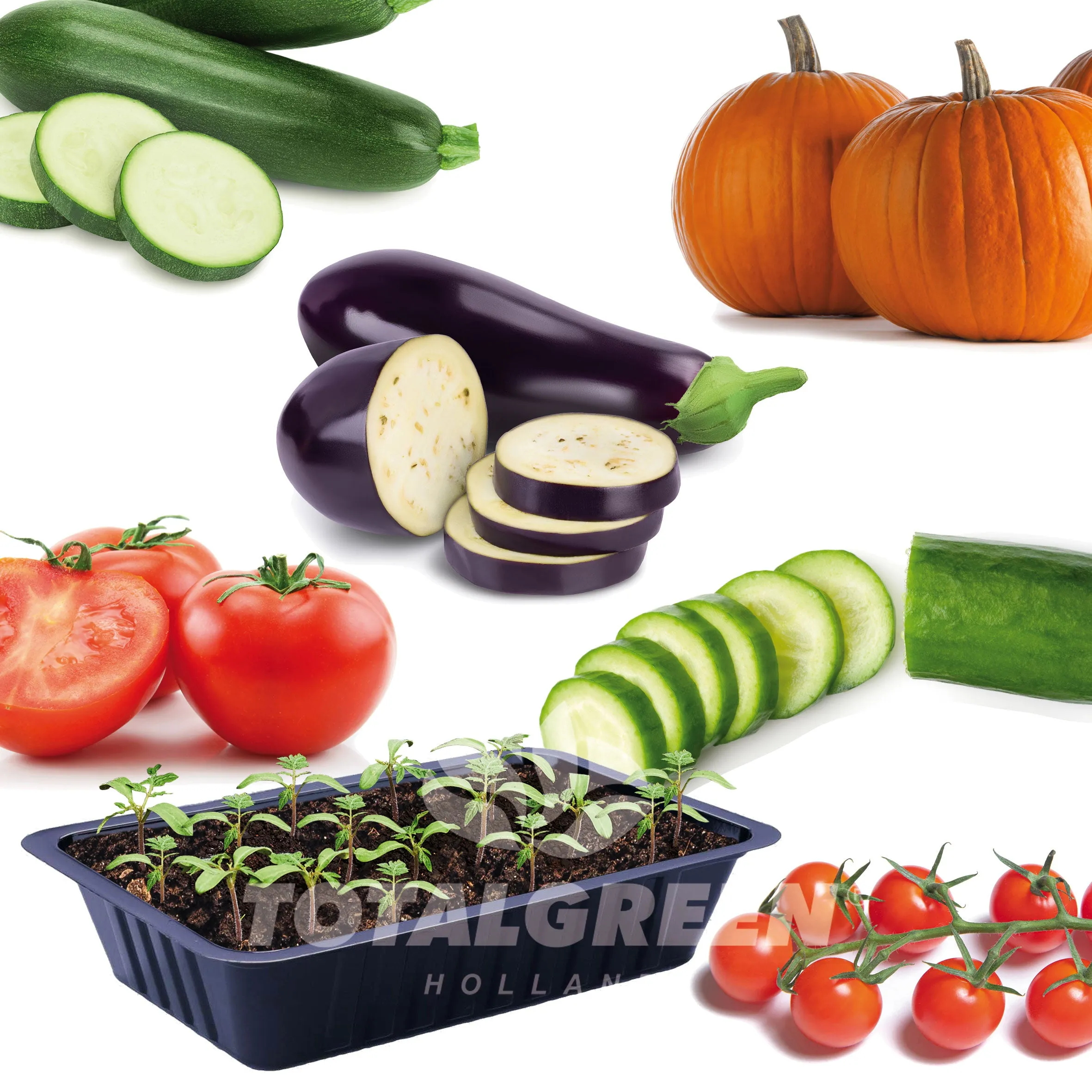 Seed Starter Kits Veggies
