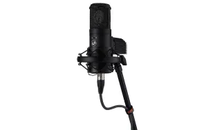 Warm Audio WA-8000 Large-Diaphragm Tube Condenser Microphone - Black